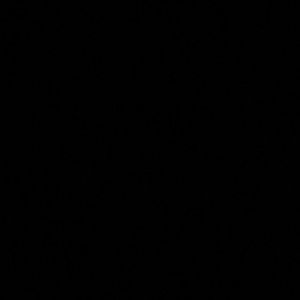 Meet your Posher, Audrey